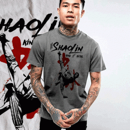 kung fu movie t-shirt Shaolin Deadly Styles retro Martial Arts tee