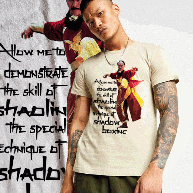 kung fu movie t-shirt Shaolin Vs Lama Martial Arts tee